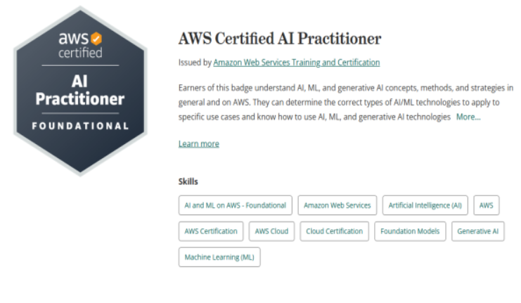 Artificial Intelligence Practitioner